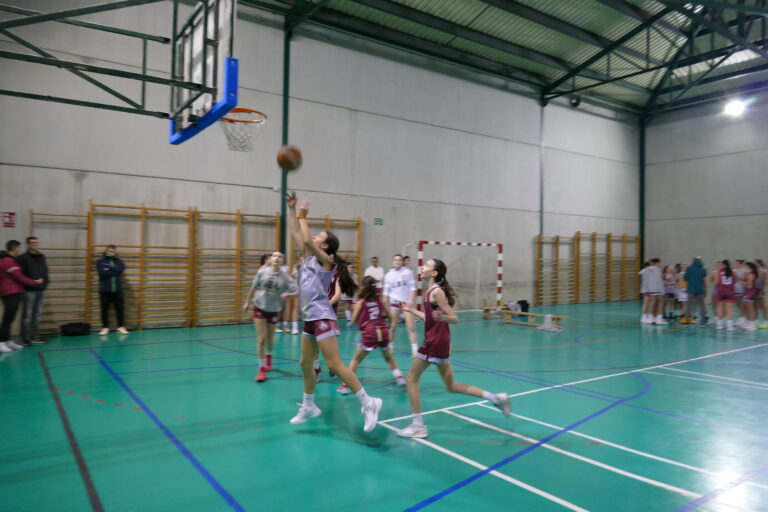 Equipos 3 Foto jugadoras