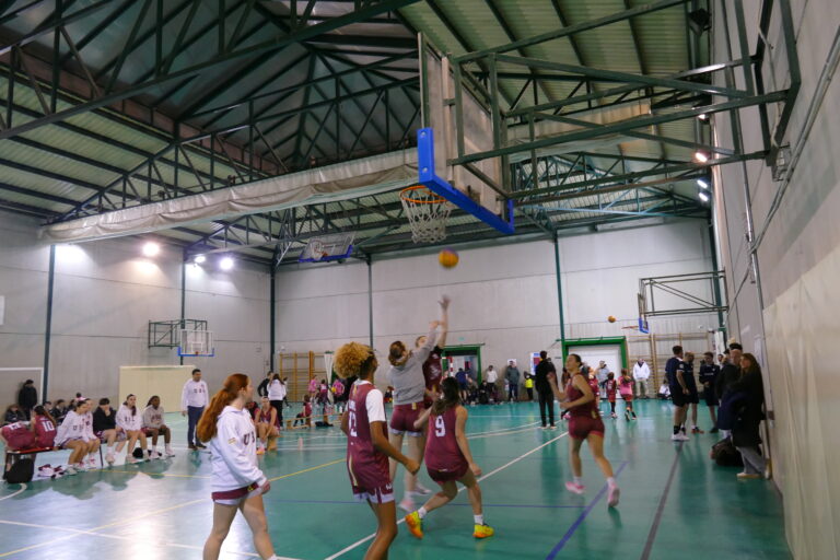 Equipos 6 Foto jugadoras