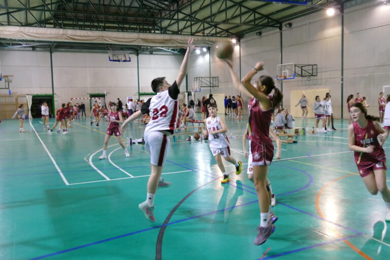 Equipos 1 Foto jugadoras