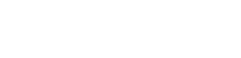 logoBosonit blanco